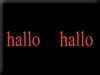 Hallo